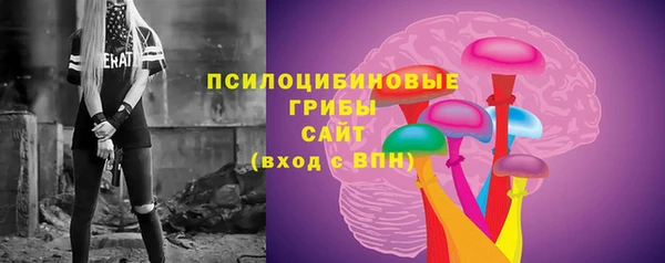 стаф Алексеевка
