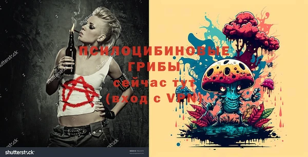 стаф Алексеевка